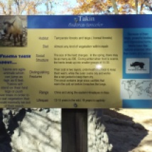 Peoria zoo